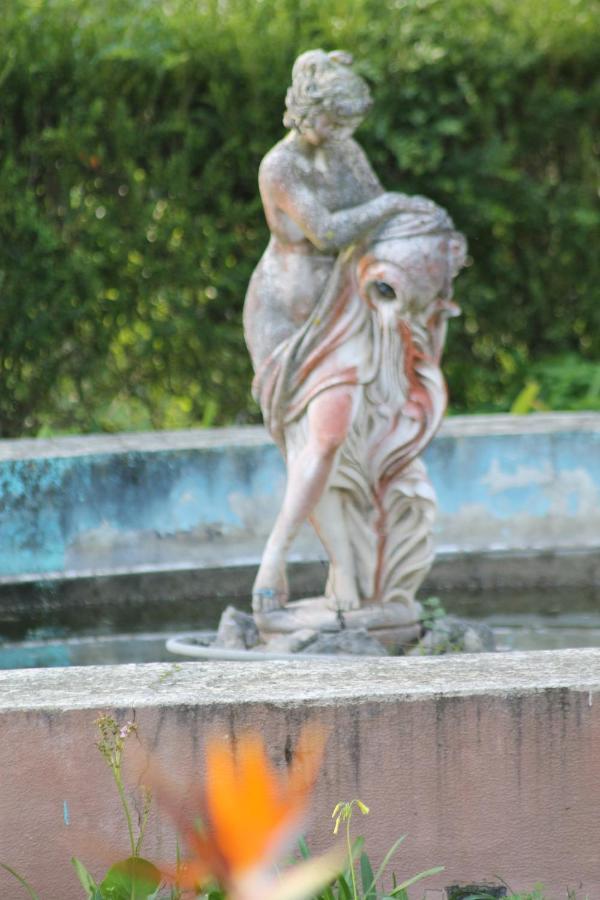 Villa Aedan Sintra Exterior photo